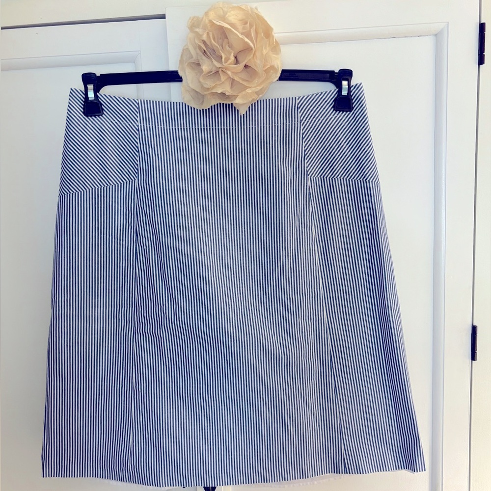 Talbots Blue Stripe Skirt 14W
